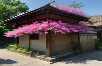 国产综艺精品节目现场画面